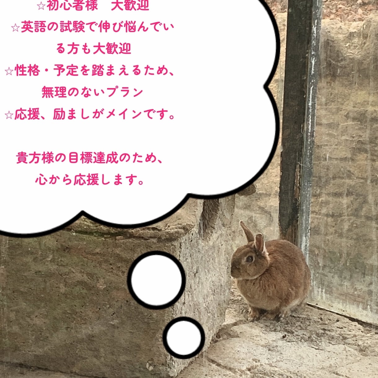 初心者歓迎！効率的な唯一の英語学習法を作成します 英語学習オーダーメイド！何から始めるか分からない初心者の方も イメージ4