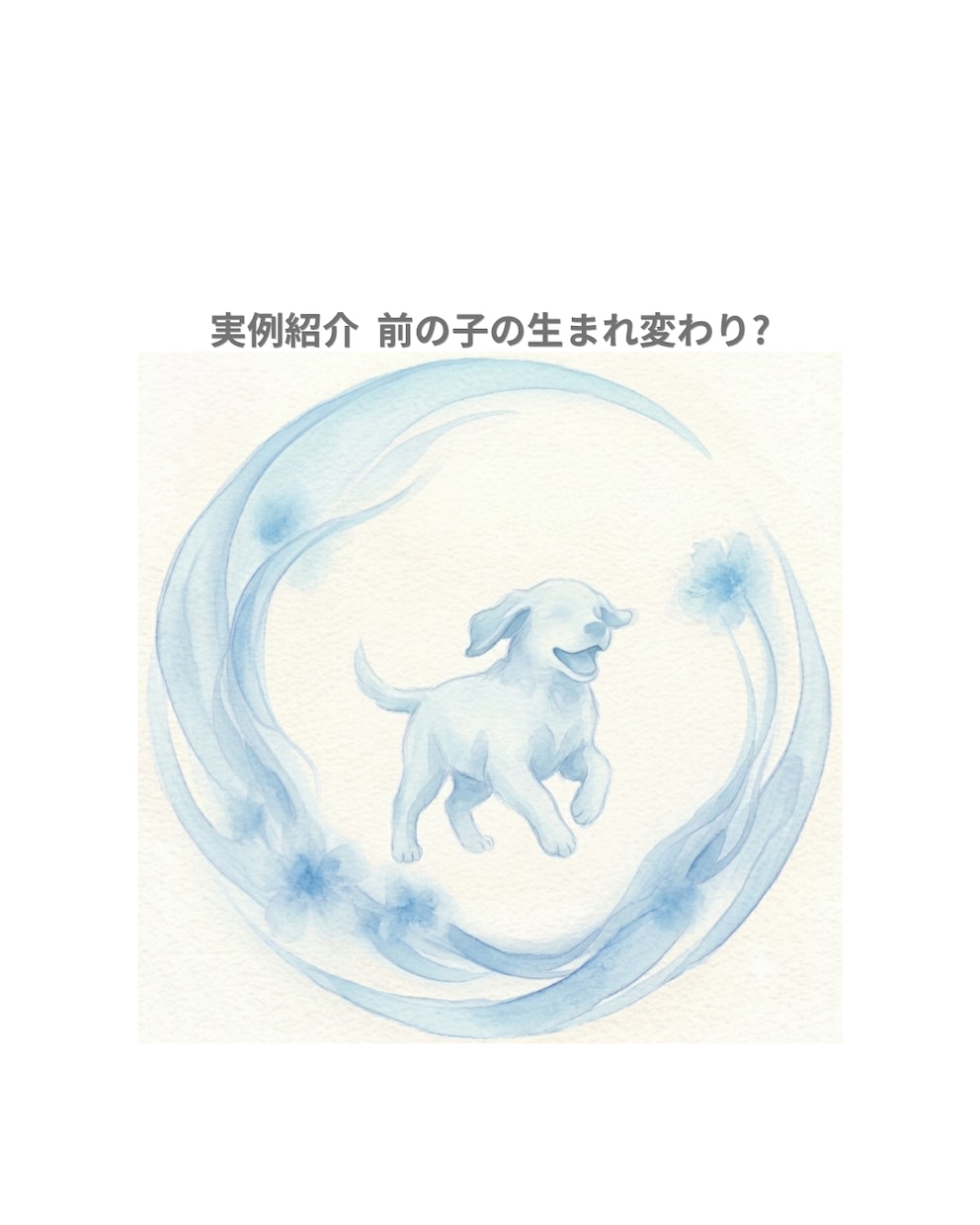 ペットの気持ちをアニマルコミュニケーションで視ます 限定特価中◆犬・猫・鳥・うさぎなどの動物を鑑定致します イメージ5