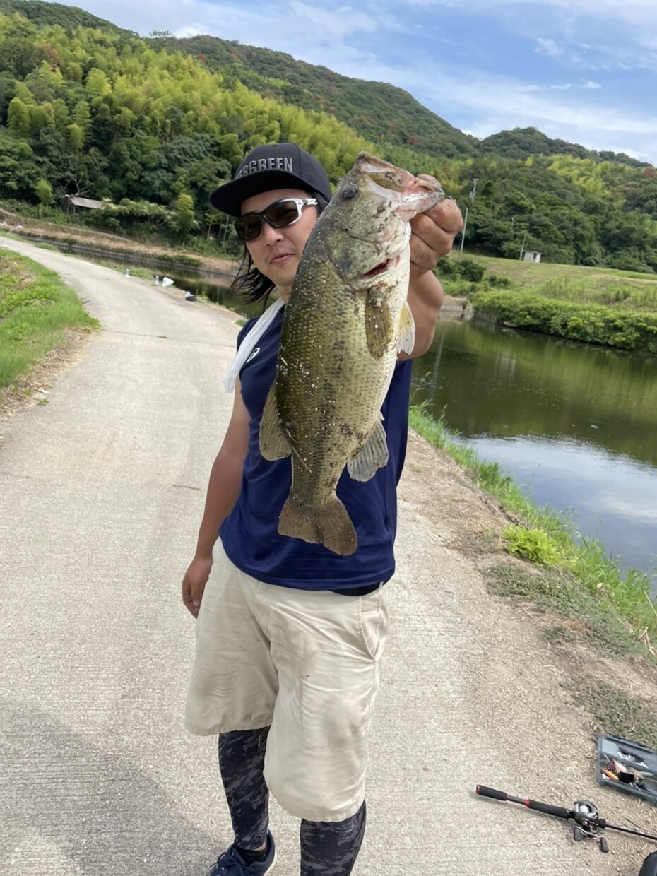淡路島野池郡教えます いろんな池がある中でバスがいる所教えます イメージ1