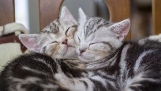 毒親、HSP、ACなどで苦しんでいる方お聞きします 生きづらい、執着、依存、他人軸で生きてきた方も＊苦しい方 イメージ3