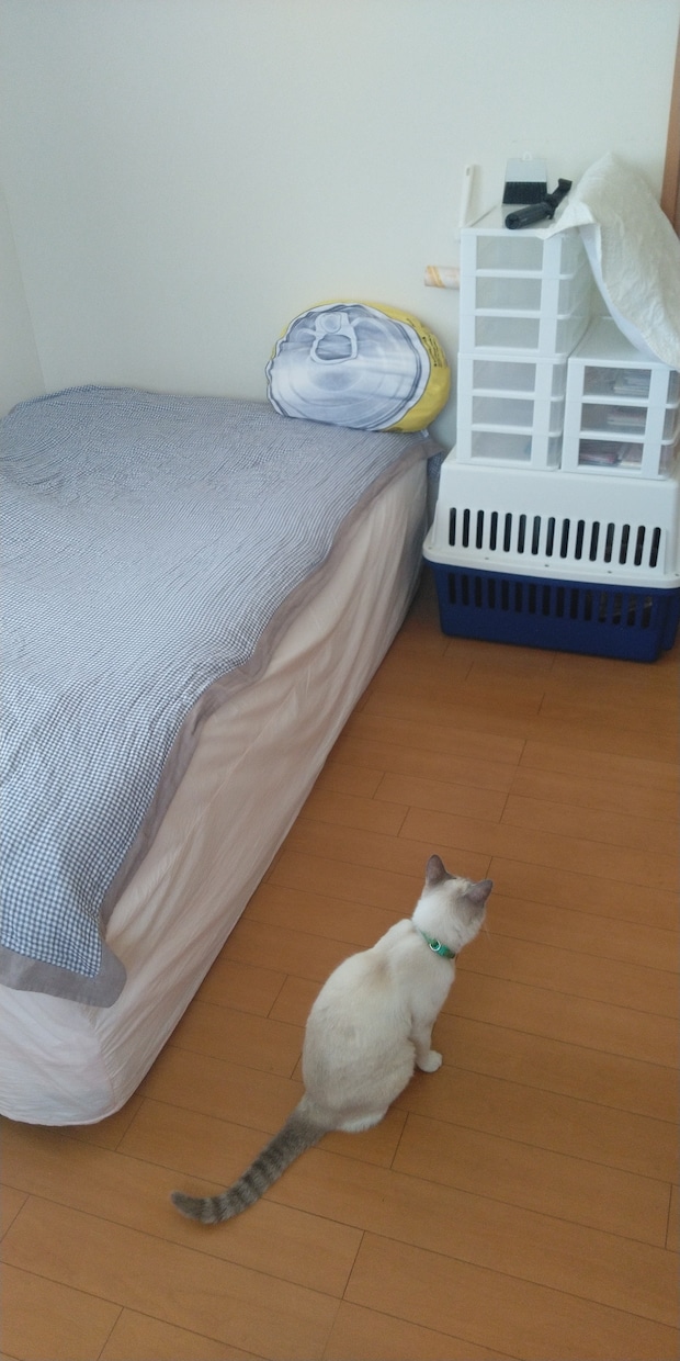 断捨離/捨て活/部屋の片付け全般アドバイス致します 1日何度でもチャット対応！1点お悩みピンポイントで解消します イメージ2
