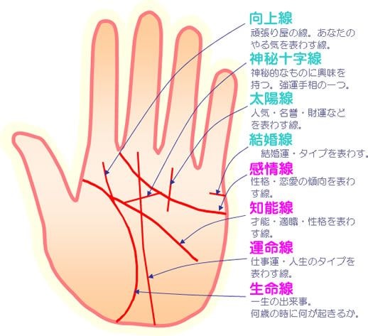 手相講座します 手相講座の初期から上級講座です。 イメージ1
