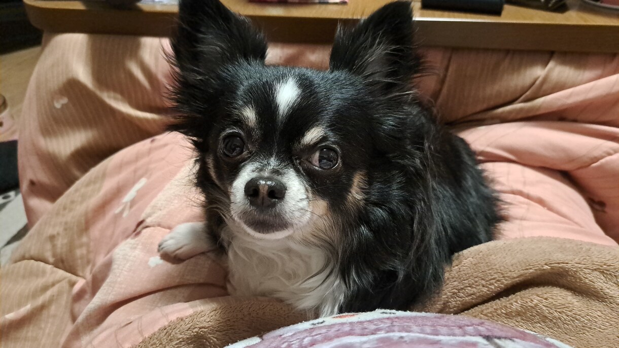 あなたに合わせて話し相手になります お試し1分でもOK！あなたの話したいことを話してください イメージ1