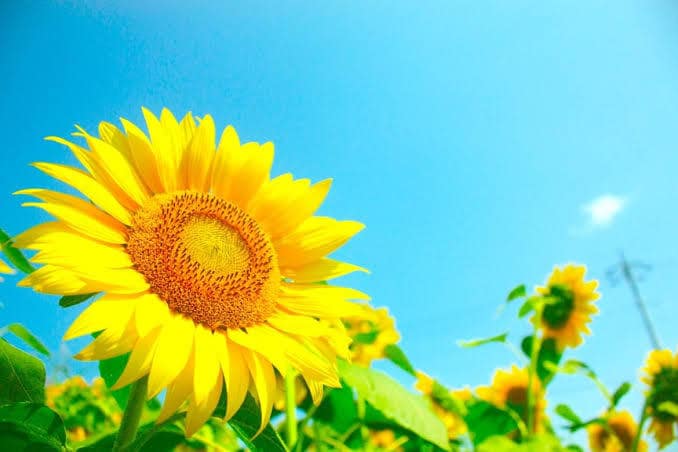 人生好転☆彡MC愛ヒーリングで20分間癒します 感情・お悩みの原因を根本から癒します イメージ2