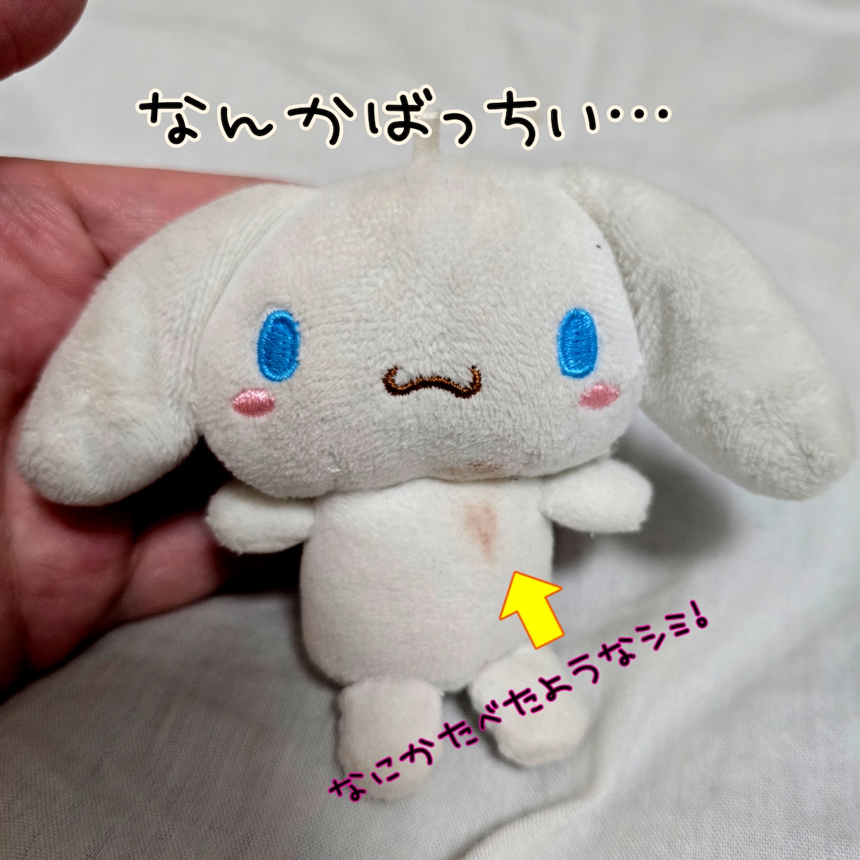 ぬいぐるみ手洗いします 手あか汚れなどをすっきりピカピカに！ イメージ1