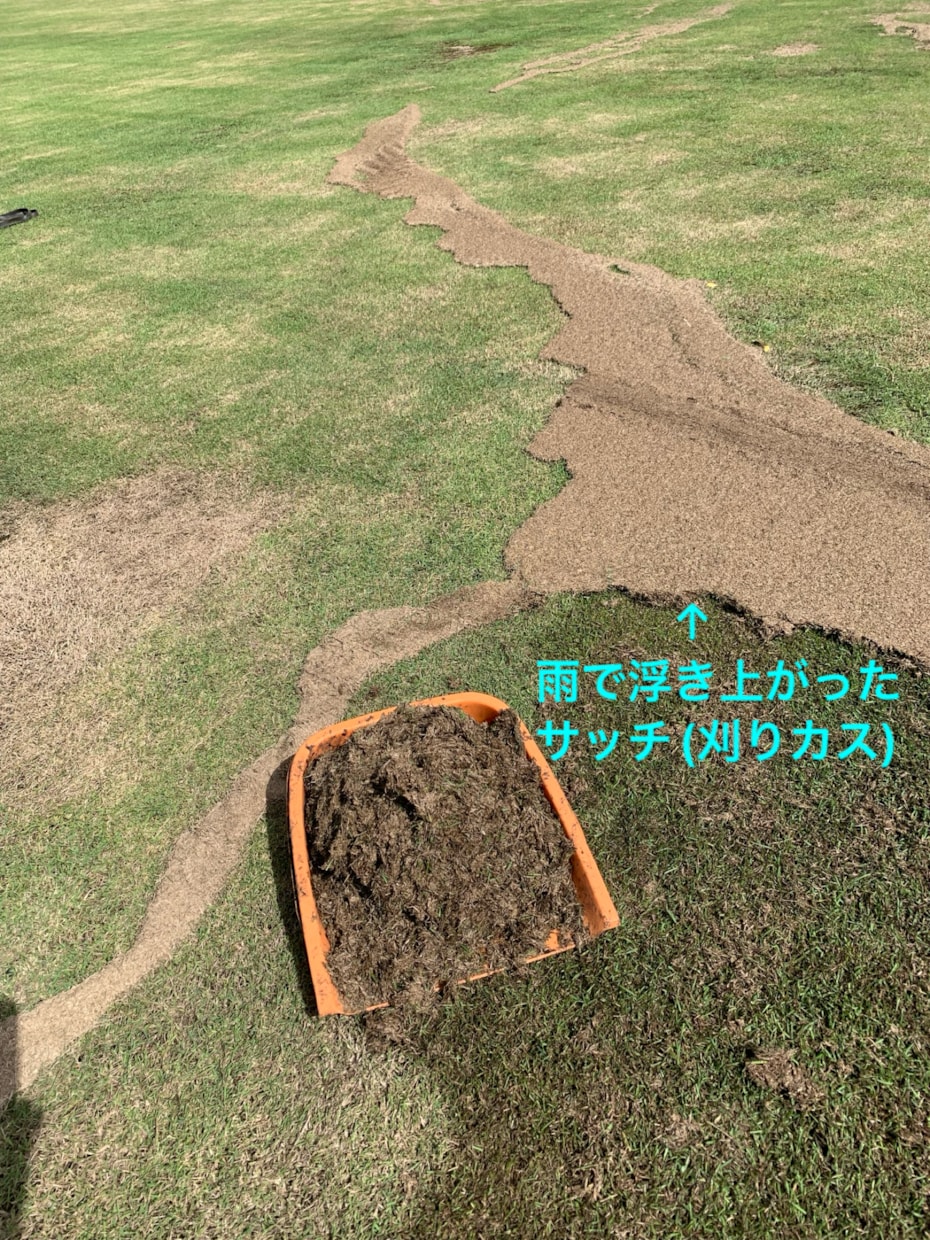芝生のお悩み聞きます 野芝、コウライ芝、ティフトン、セントオーガスチンなどのご相談 イメージ7