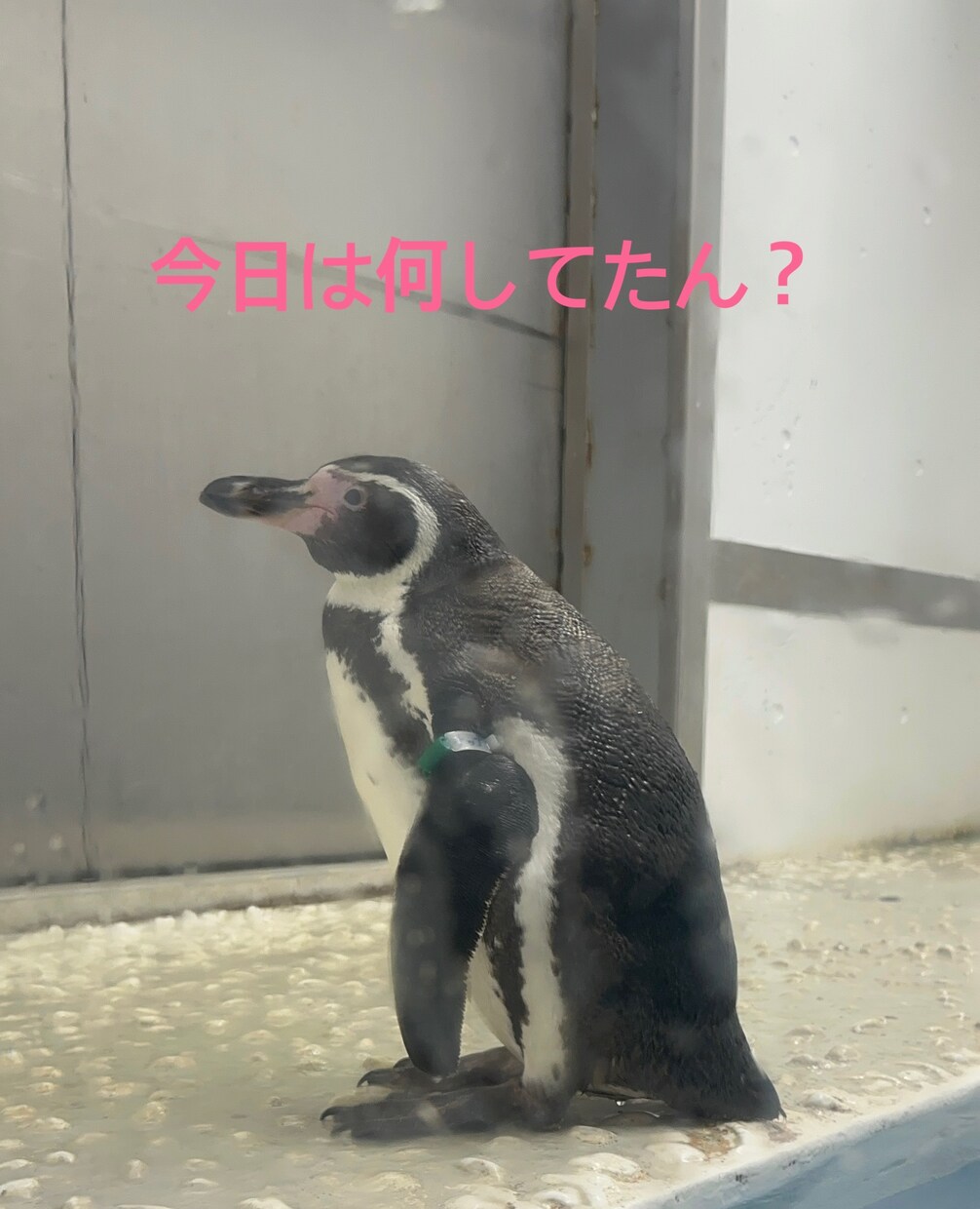 関西弁がいいよって方には関西弁で話します 優しい関西弁でお話しします╰(*´︶`*)╯♡ イメージ2