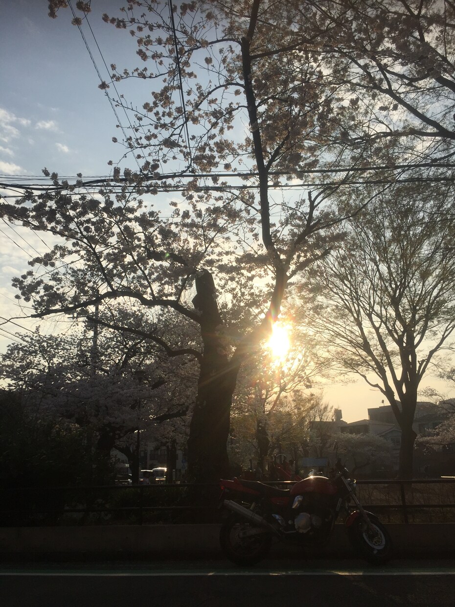 PC操作を遠隔でします メール設定など各種設定を自宅にいながら終わらせたい イメージ1