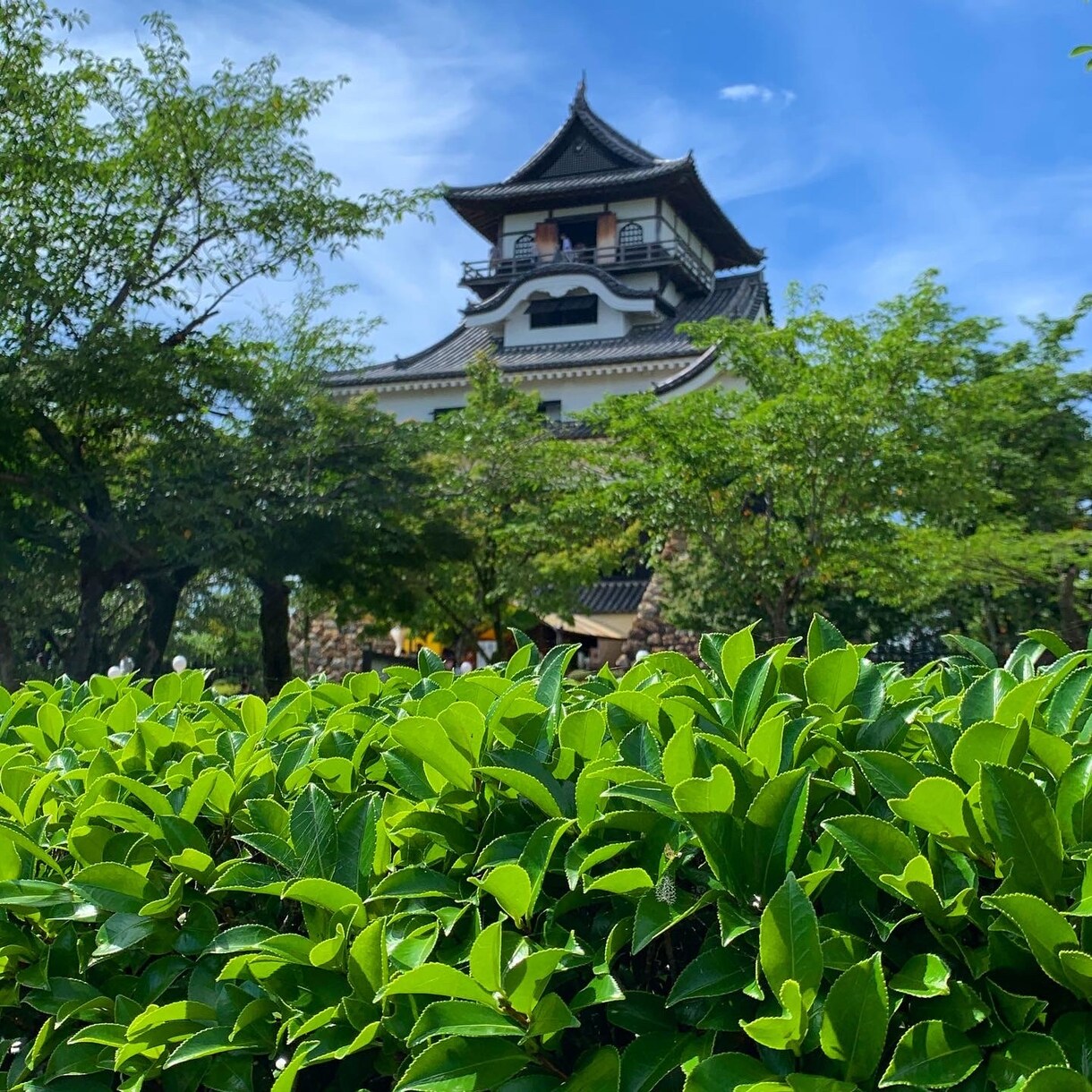旅行のロケハン承ります せっかくの旅行でガッカリしない為に下調べします。 イメージ2