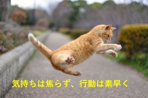 女性限定☆日常のお悩み伺います 人に話すことでびっくりするほど心が軽くなります♪ イメージ4