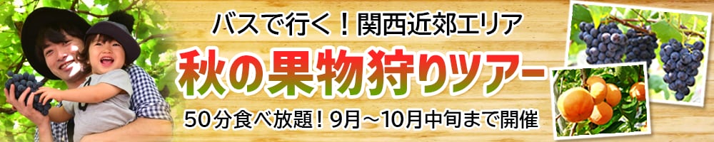 女性ならではの感性で人目を惹くバナーを制作します 低価格で高品質のバナーをご提供いたします！ イメージ1