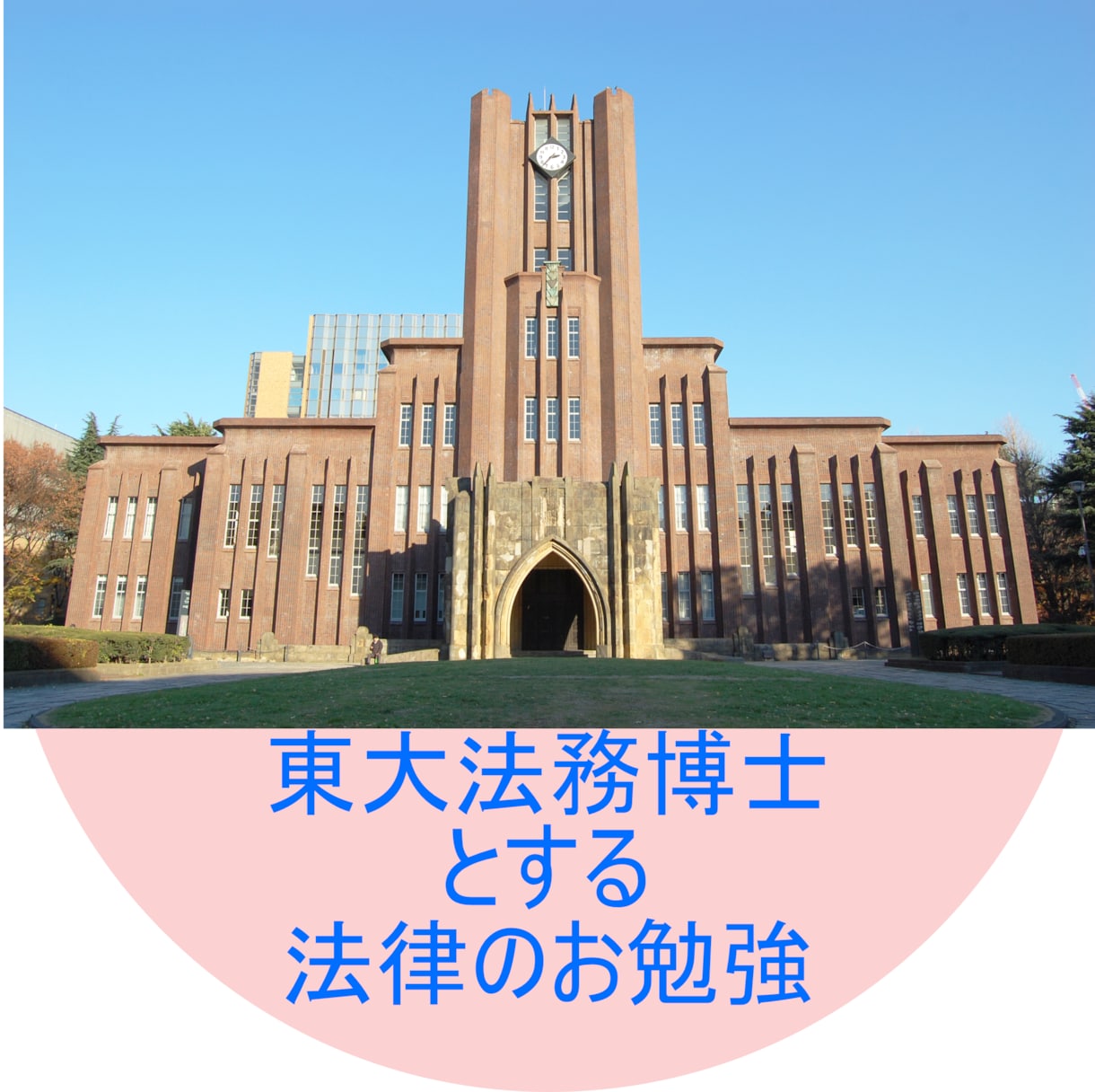 シンプル版【東大法務博士が】法律の家庭教師をします 【大学生必見！】スッキリわかる★【オンラインレッスン】 イメージ1