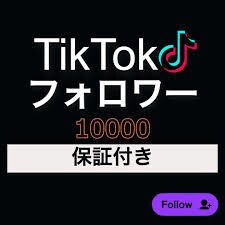 TikTokフォロワー10000人増加します 今だけ限定価格！10000人増加するまで宣伝致します！ イメージ1