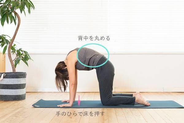 心身共に効果のあるトレーニングをレッスンします 元気で幸せでいられる身体作りを楽しみながら目指しましょう！ イメージ2