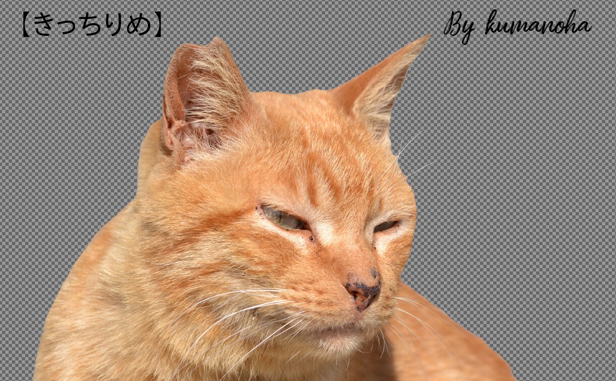 GIMPでの写真の切り抜きを承ります 全て手作業で切り抜いていきます！！ イメージ6
