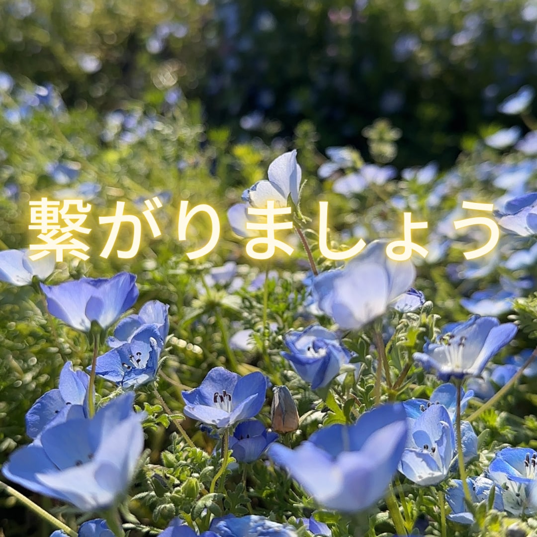 24時間(夜間除く)お友達みたいにチャットします 電話じゃなくてチャットでじっくりお話したい方向けサービスです イメージ2
