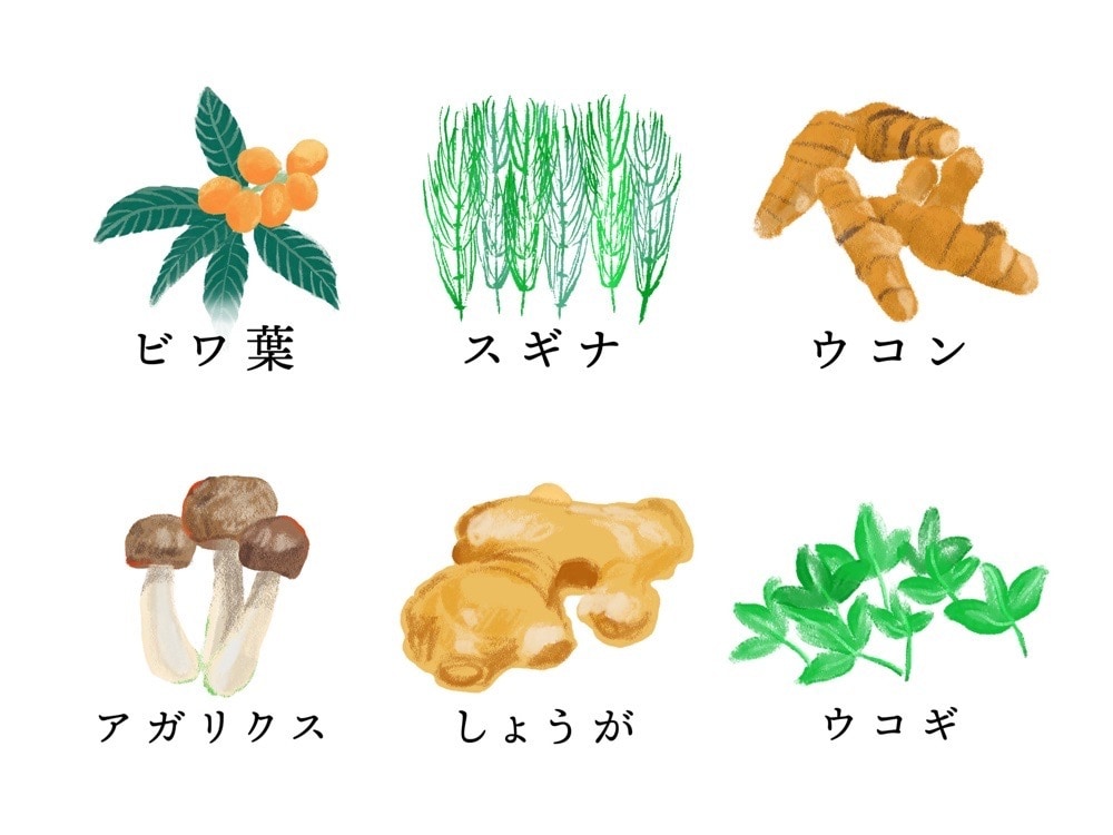 パッと目にとまる!お洒落な手描きイラストを描きます 味のある線で、こなれ感を演出♪ イメージ2