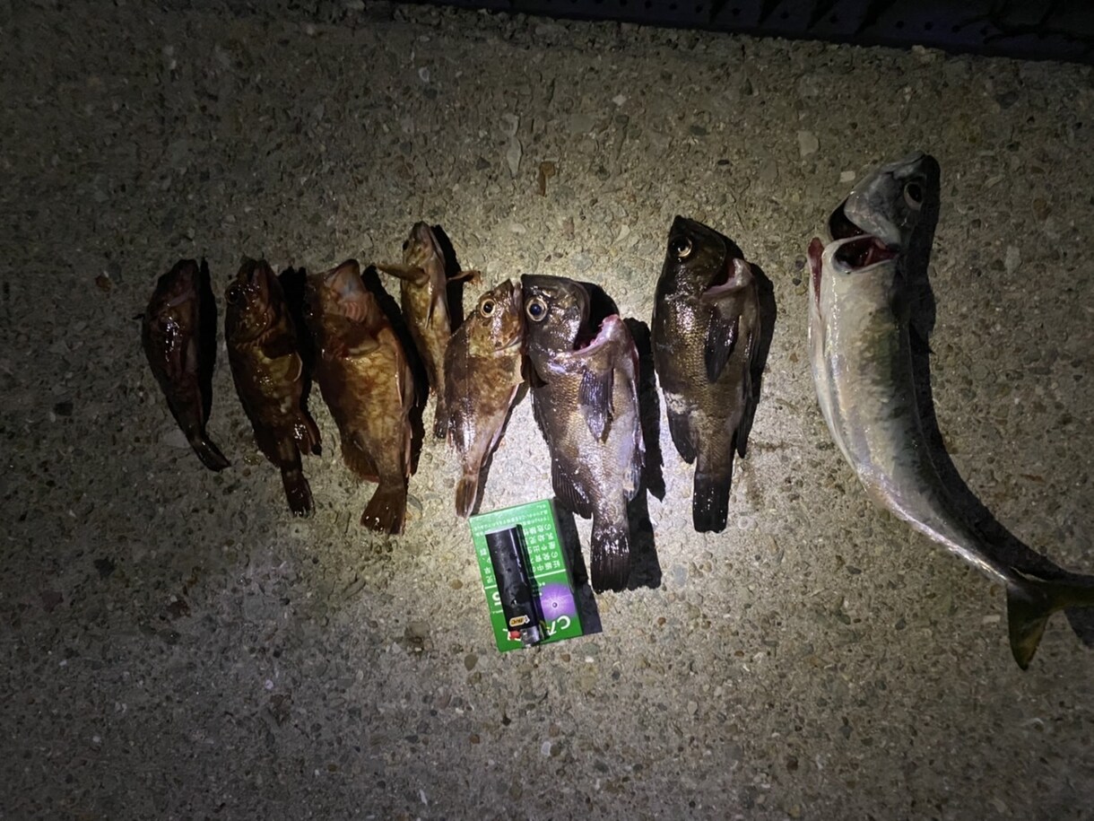 釣ります 初心者の方に優しく海釣りの楽しさを知ってもらう。 イメージ2