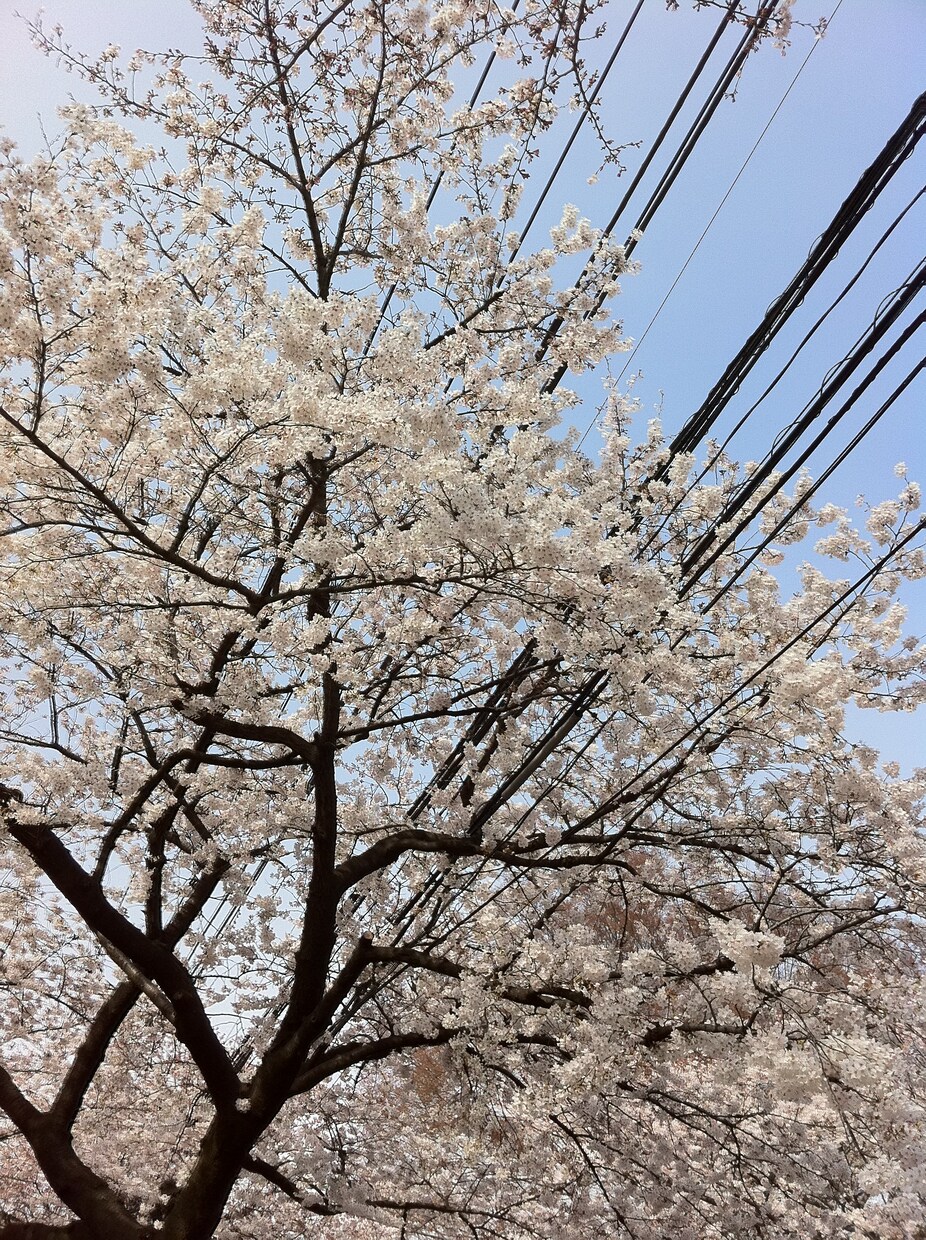波乱万丈の人生。そこから得た経験からお伝えします 仕事、転職、人生の悩み。前向きになるお手伝いします。 イメージ2