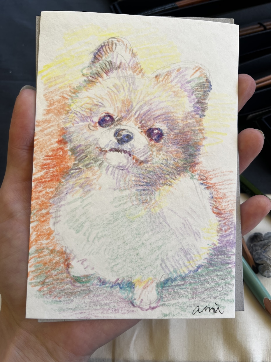 色鉛筆でペットの似顔絵ポストカード制作します 色鉛筆で雰囲気のある色味の似顔絵を描きます！ イメージ4