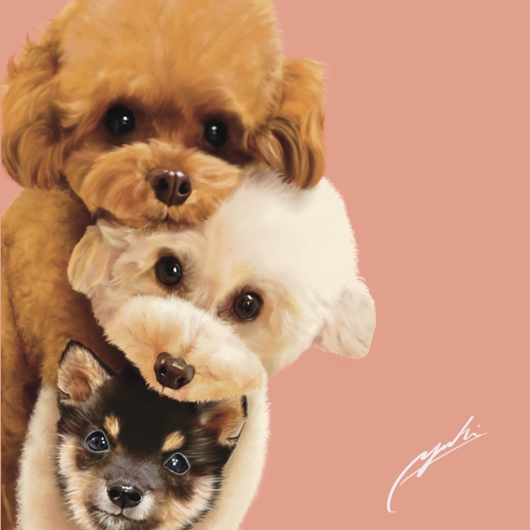 想いを乗せたイラストを描きます 飼い主さまの愛情をヒアリングし、イラストに生かします。 イメージ8