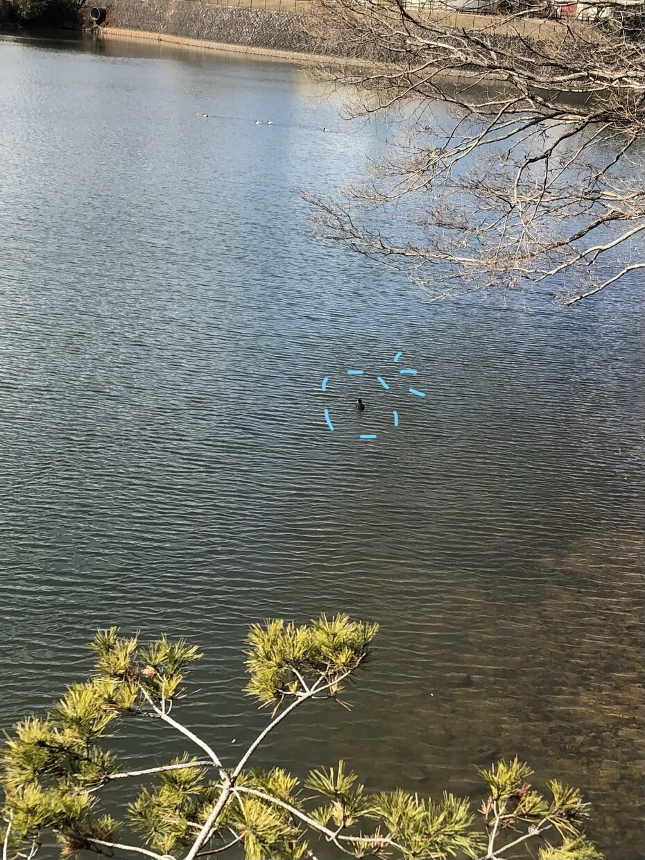 なくしたものをみつける方法を教えます なくしたものがみつかる方法を教えます　#失せ物 イメージ1