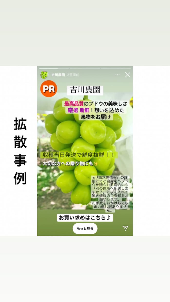 27万フォロワーいるインスタグラムで3回拡散します 1日1枠！週間アクセス１７万のハイライトに２週間無料表示付き イメージ6