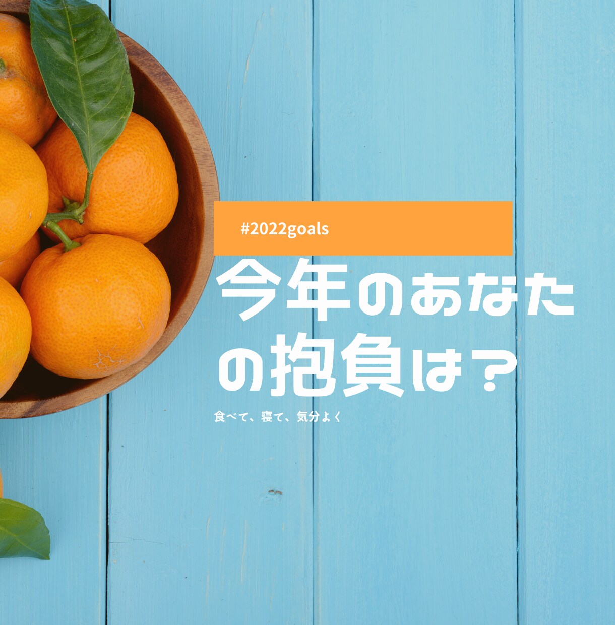 健康的で楽しいライフスタイルをサポートします やる気が湧きでる健康的ダイエットサポート。PDF32ページ イメージ4