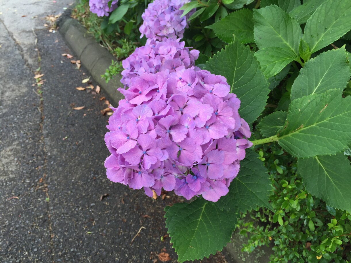 悩みを聞き第三者の意見を述べまます 一緒に悩みを解決していけたらと思います イメージ3