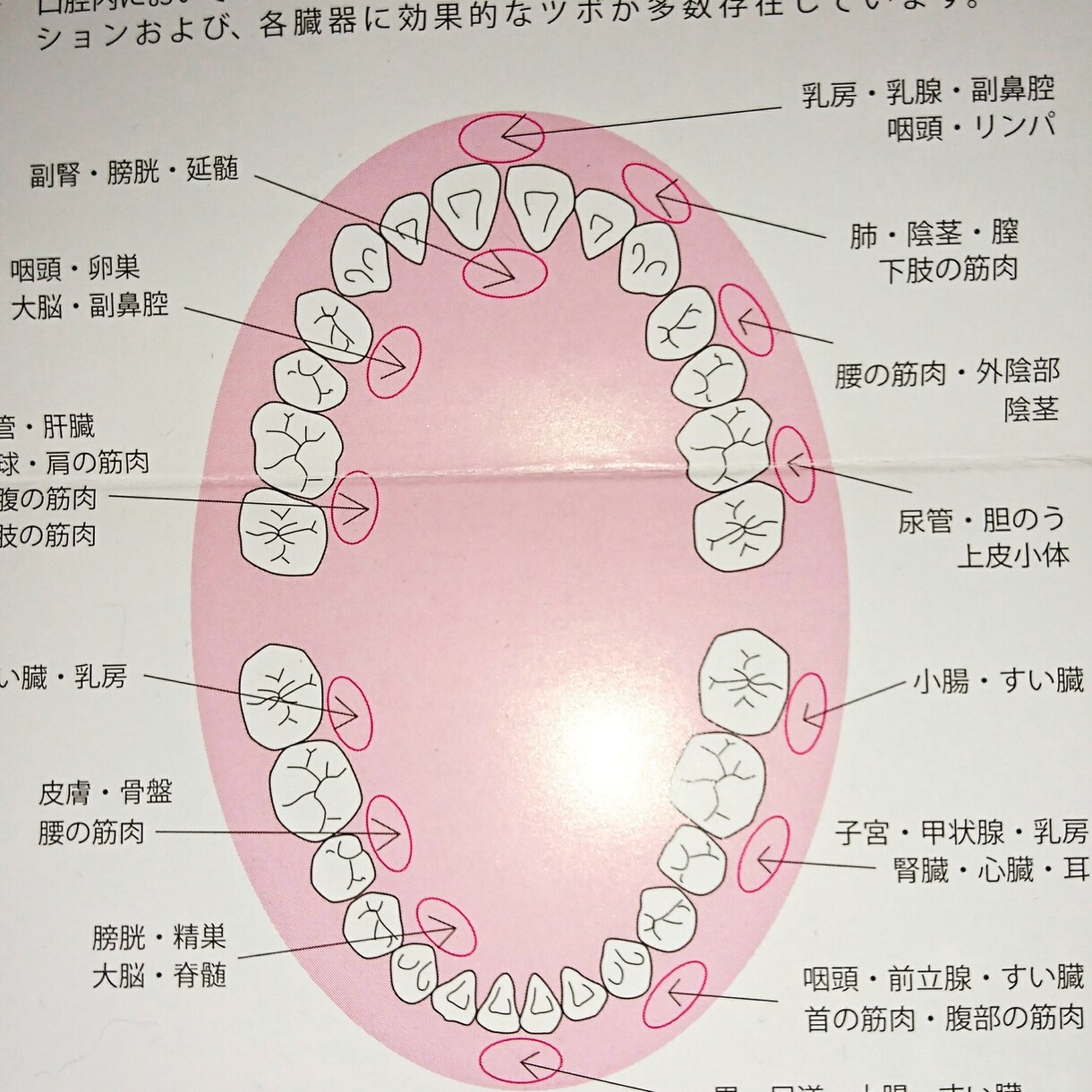 お口のトラブルや悩み解決致します お口の事でお悩みの方口臭 歯ブラシの選び方等々 イメージ2