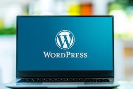 WordPressブログを提供します 格安！サーバー利用料込み3000円でHP・ブログ運営！ イメージ1