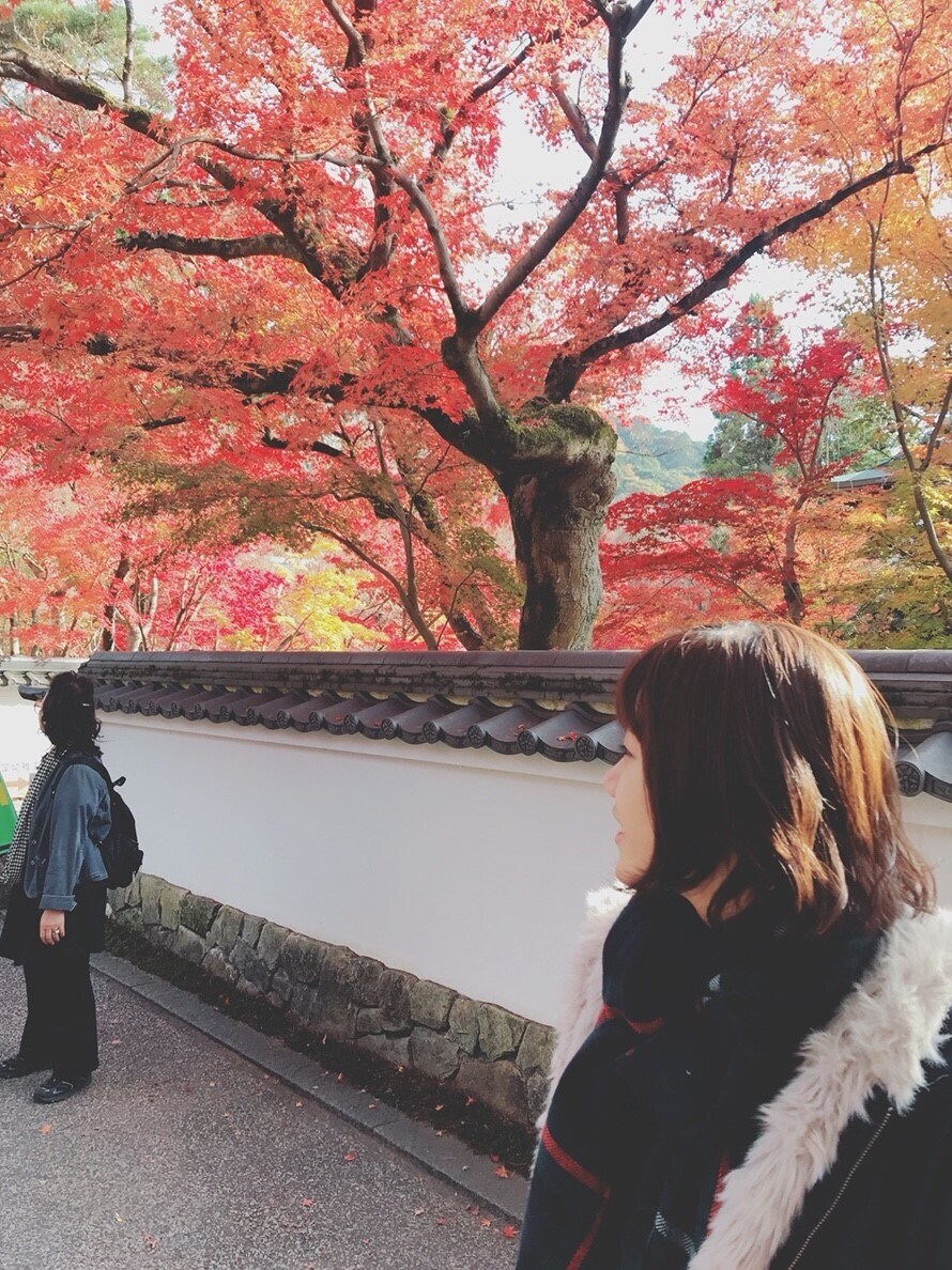 京都観光のプランニングを立てます 京都生まれ京都育ち京都大手旅館勤務♪京都のことならお任せ♪ イメージ3