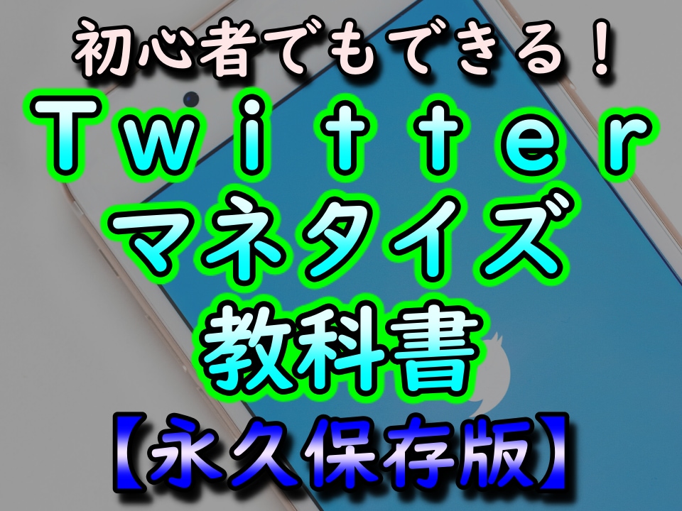 初心者さん必見！ツイッターで稼ぐ具体的方法教えます 一番苦労する初期をクリアする具体的方法からマネタイズまで網羅 イメージ1