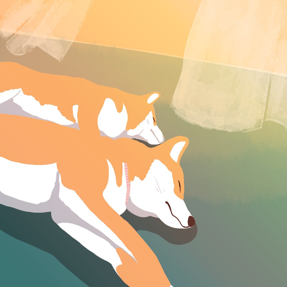 光の差し込むイラスト描きます あなたの可愛いペットの寝ている姿をイラスト化、光の差し込む絵 イメージ3