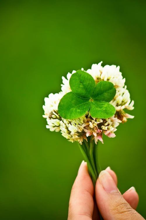 繊細・敏感なあなたへ。傷ついた心、手当てします ☘『理解されない少数派の辛さ』を打ち明けてくれませんか? イメージ7