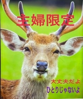 ベテラン主婦が、悩み解決します 旦那　子供　嫁姑　問題相談のりますお電話で、お話ししましょう イメージ1