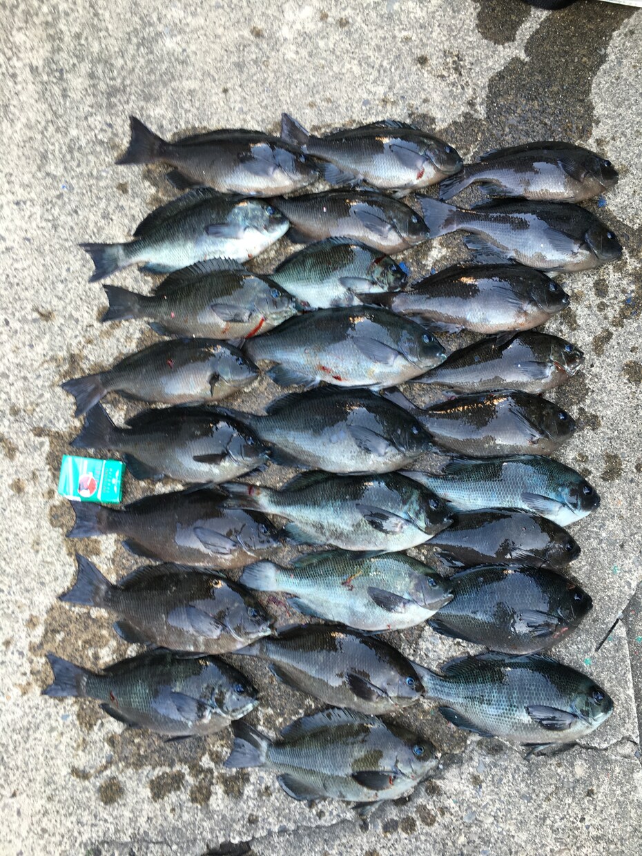 実績あり！釣り針の結び方、趣味漁師が直伝します 漁師の世界は企業秘密。だからこそ価値がある。 イメージ4