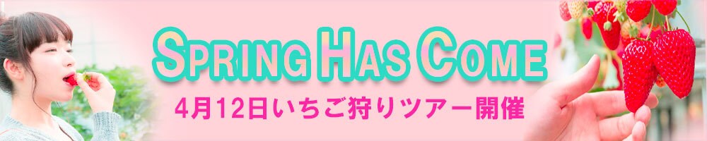 あなたの希望のデザイン（バナー・ＬＰ）作ります あなたの思いをカタチに！叶える！デザインを表現しませんか イメージ6