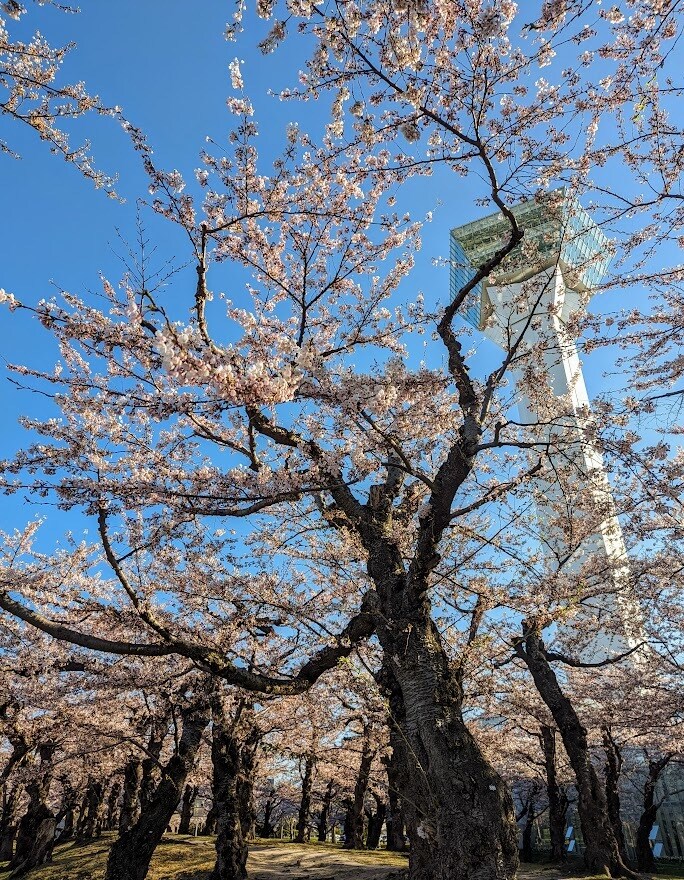 道産子・29歳男性が話し相手になります 気軽に電話かけてくればいいっしょ＾ー＾。 イメージ5