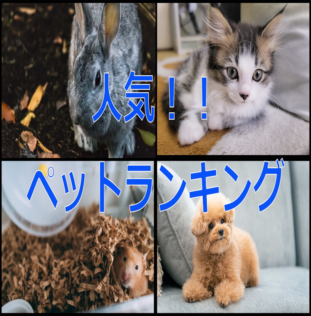 youtube動画のサムネイルつくります 低価格でクリックしたくなるサムネつくります。 イメージ7