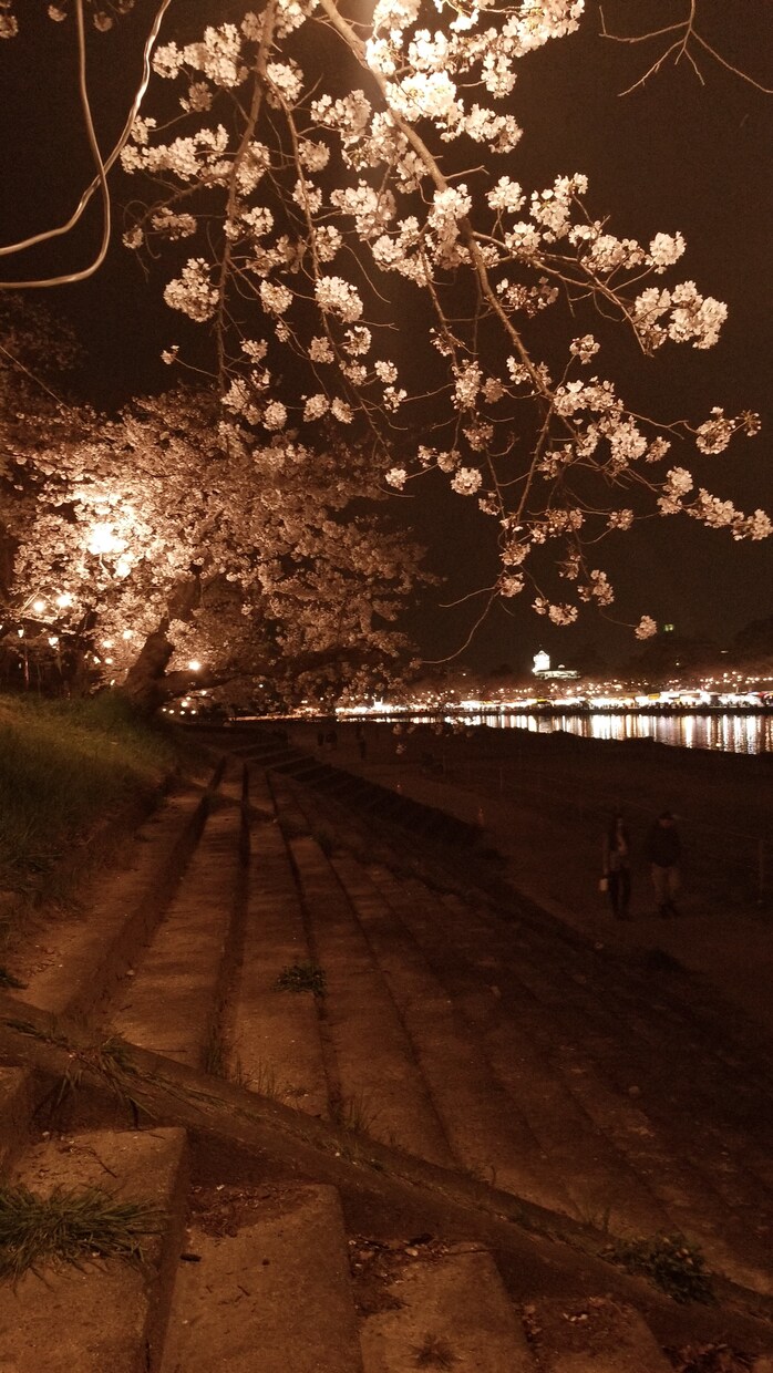 桜の写真販売してます 綺麗なな風景写真をあなたの身近に イメージ2