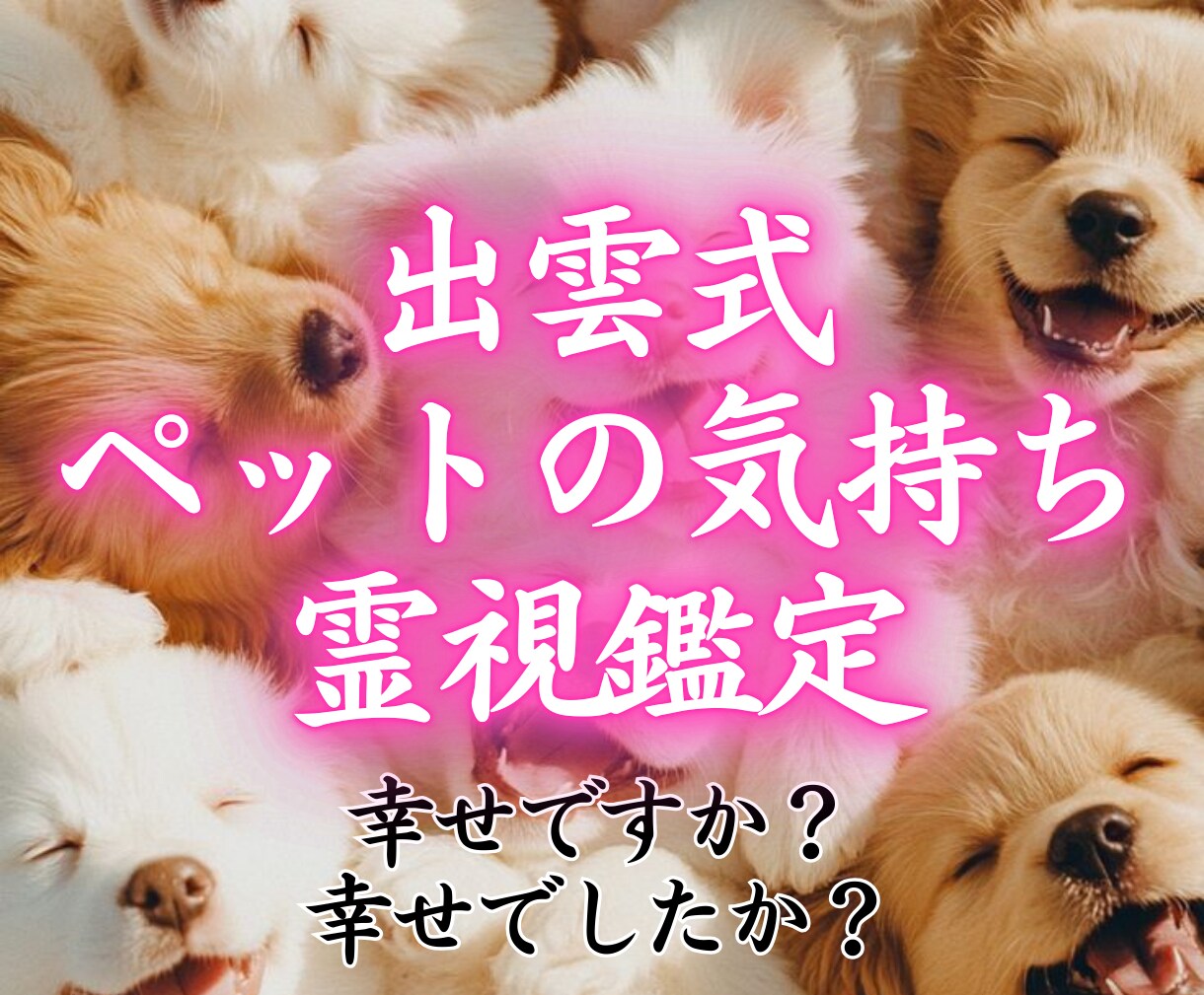 ペットと繋がり【出雲式霊視】で気持ちをお伝えします 何を考えているのか、普段聞けない事がわかります イメージ1