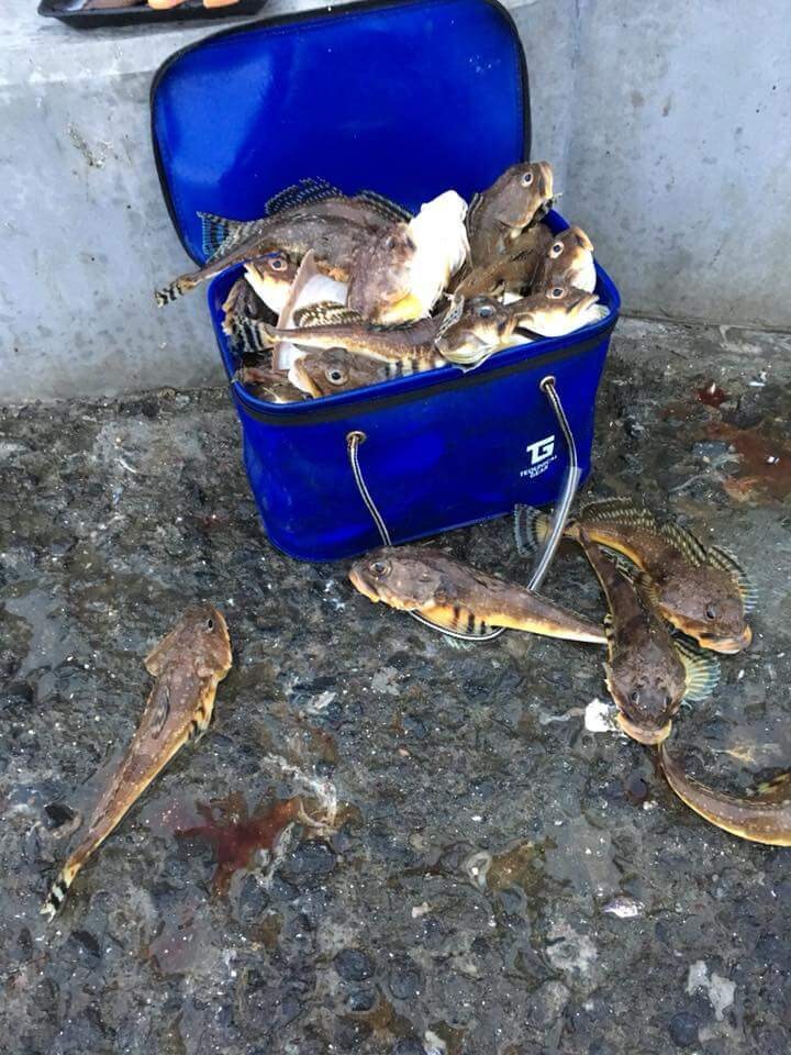 札幌近郊の投げ、ルアー釣りのポイント＆情報教えます 札幌、小樽にお住まいの方、釣りに行こうと思ってる方 イメージ1