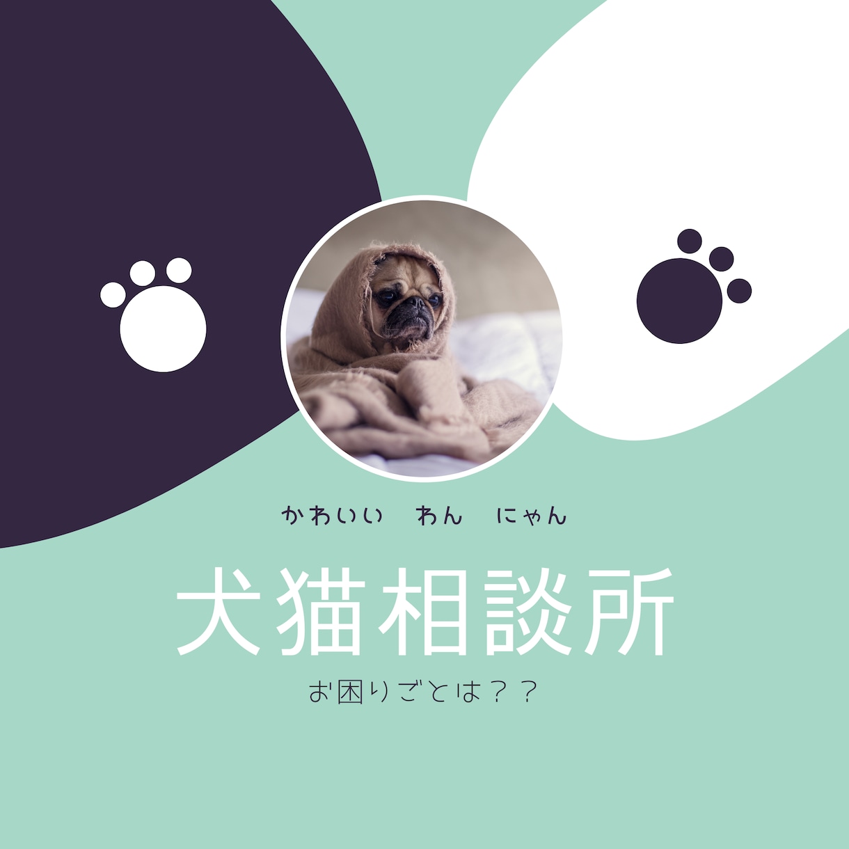 ペットのお困りごと解決策を提供します 犬、猫限定お悩み解決策を提供します。 イメージ1