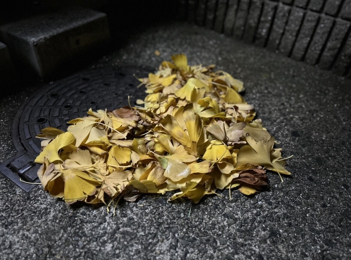 人見知りですが､愚痴•話し相手引き受けます 甘党の現役モデル(若干人見知り) イメージ2
