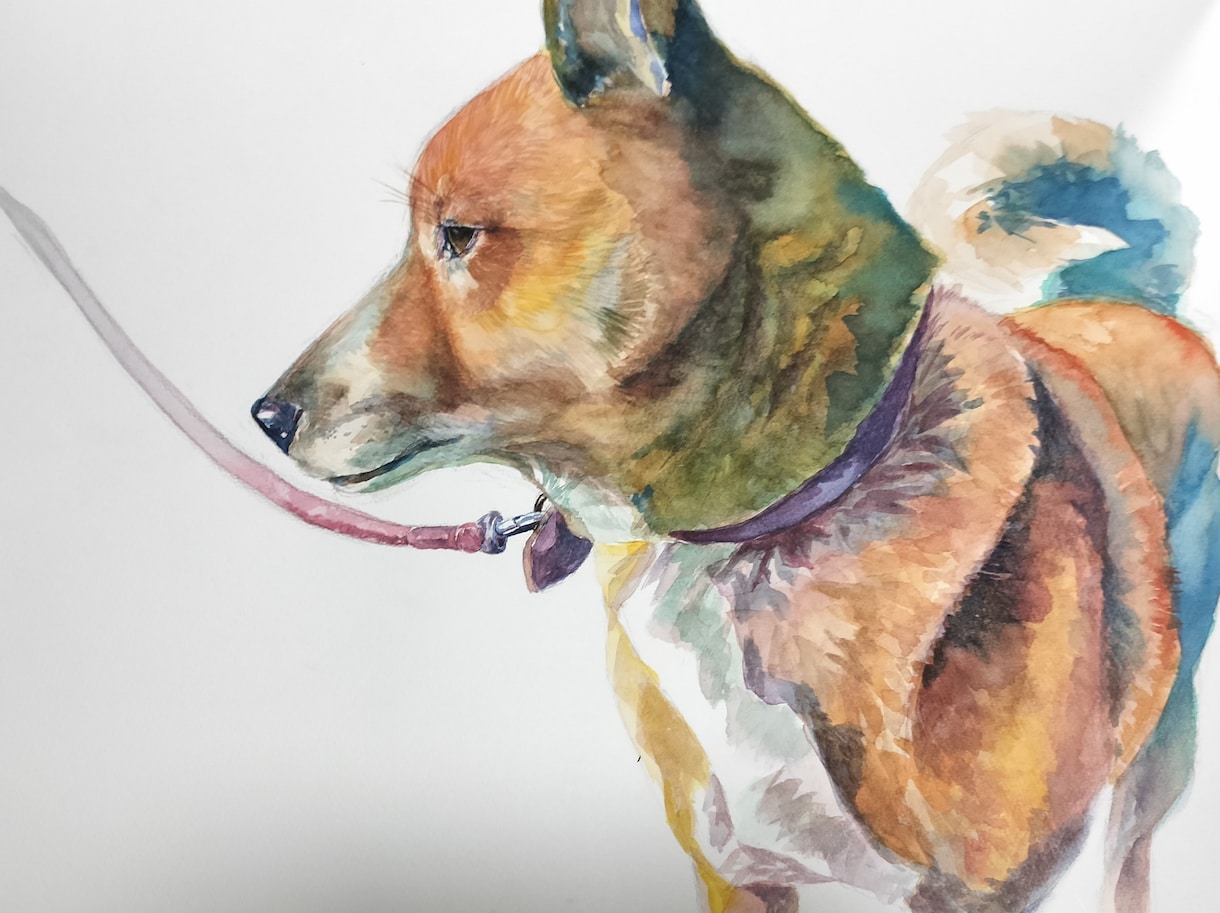 ペットのイラストを水彩画で描きます 写真にも写らない貴方だけが知っているペットの魅力を表現します イメージ2