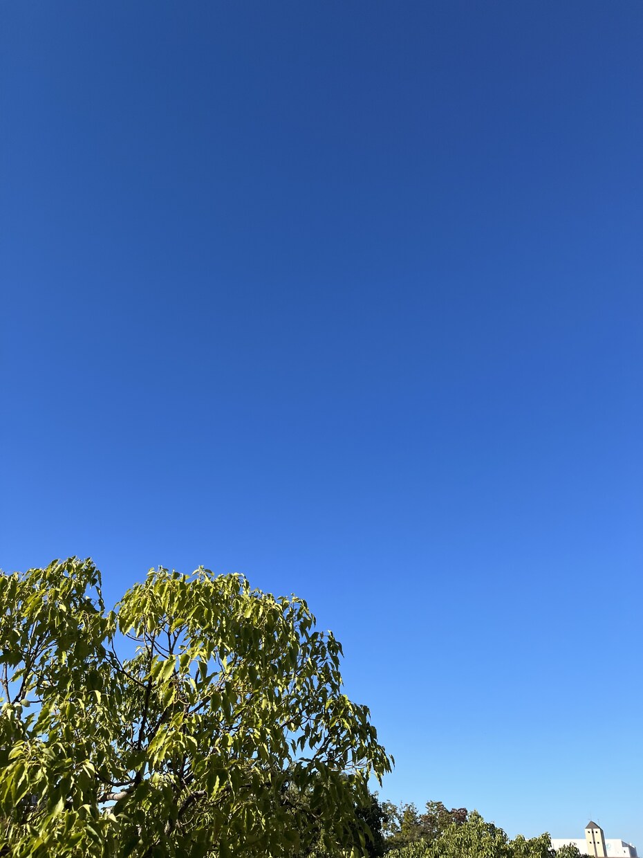 愚痴や困り事など何でも聞きます 肯定します。チャットで気持ちを全部吐いてくださいね イメージ1
