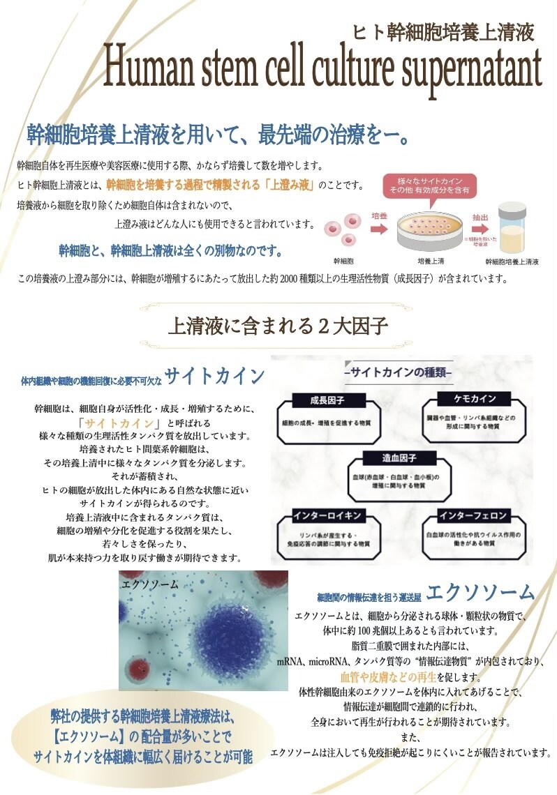 現役グラフィックデザイナーがチラシ制作します 【8月末まで】実績作りのため、高品質＆安価で制作いたします。 イメージ5