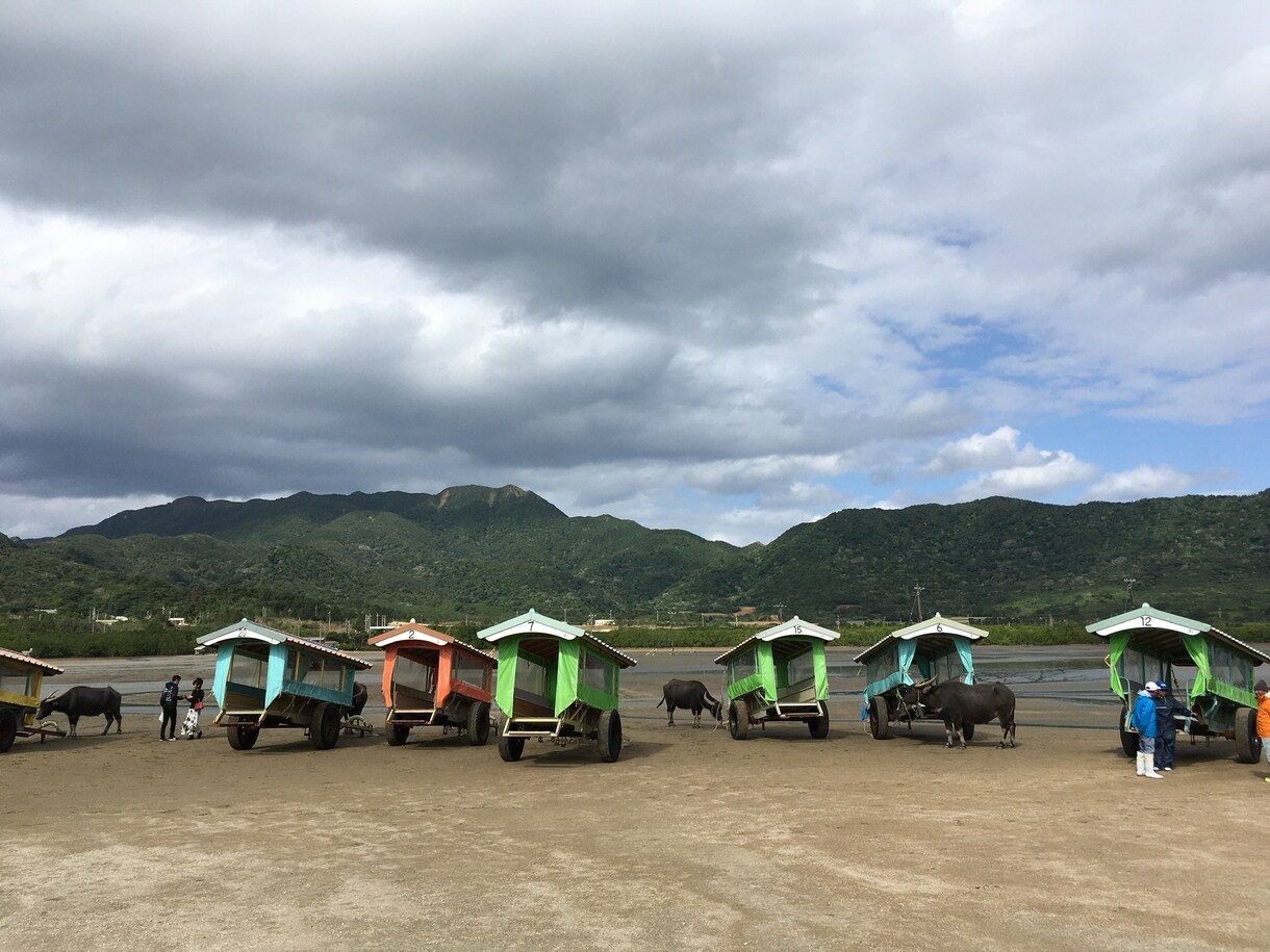 皆様のご要望にあった国内旅行を企画致します 国内大手旅行会社勤務！ご希望以上の期待に応えます。 イメージ1