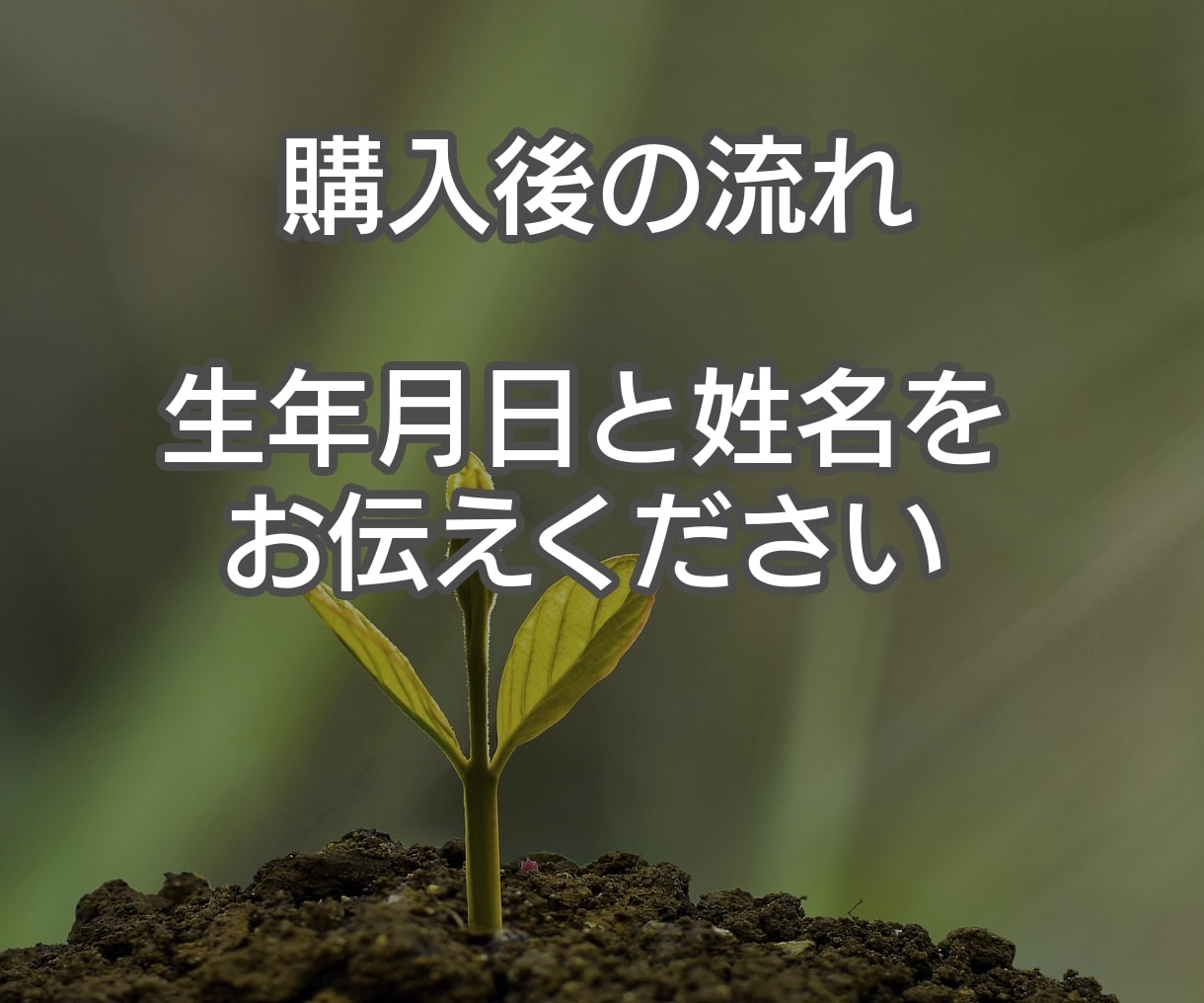 魂の流れに注目しながらあなたの前世を診断します 魂に従うことは、幸せな人生への第一歩です イメージ7